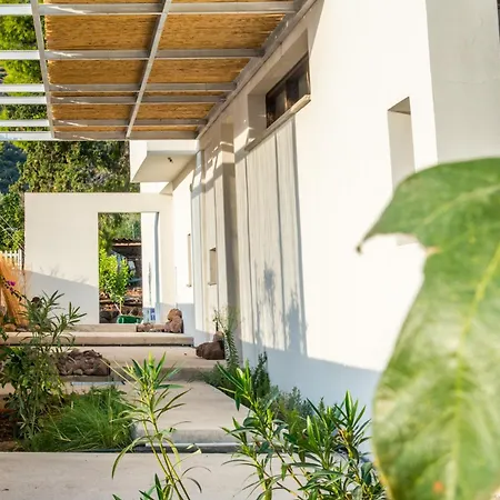 Villa Seafront House In Vathi,