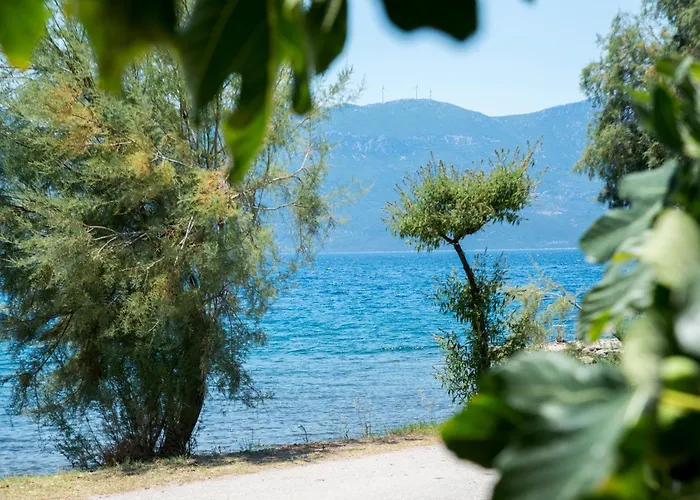 Vila Seafront House In Vathi,